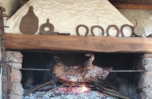 Borore House | Azienda agricola Affittacamere S'Ispinalba di Laura Pitzolu