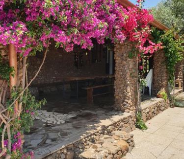 Borore House | Azienda agricola Affittacamere S'Ispinalba di Laura Pitzolu