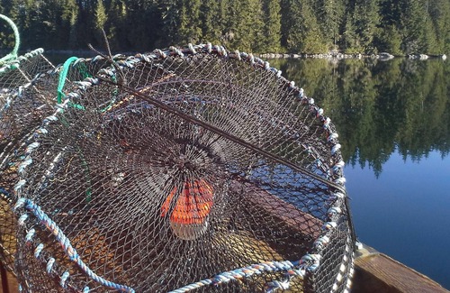 Port McNeill House | Azure Blue Beach House ~*~ Telegraph Cove B.C.