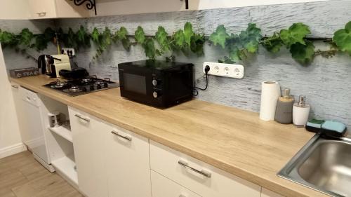 Kapolnasnyek Apartment | Bíbic Apartman A