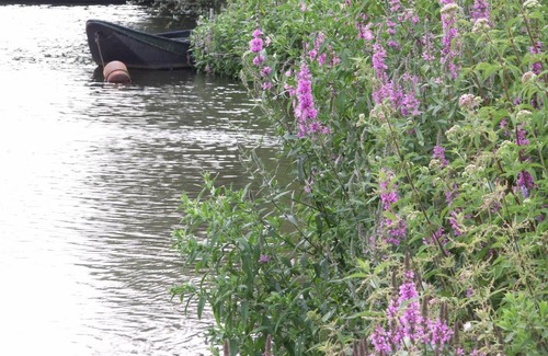 's-Hertogenbosch House | b&b Achter de Sterren