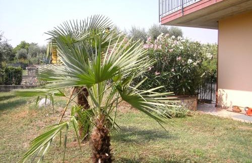Pieve Vecchia Bed & Breakfast | B&B Agli Ulivi