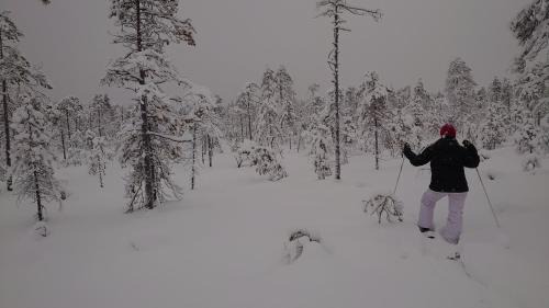 Kehys-Kainuu Bed & Breakfast | B&B Aittoranta