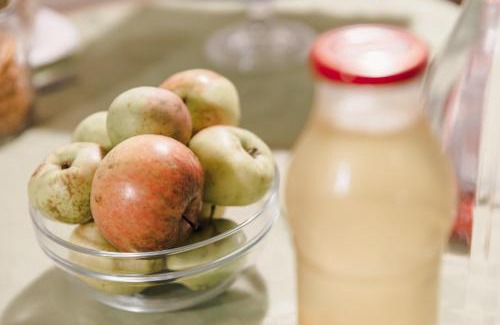 Borgo Valbelluna Bed & Breakfast | B&B AL VECCHIO CARPINO