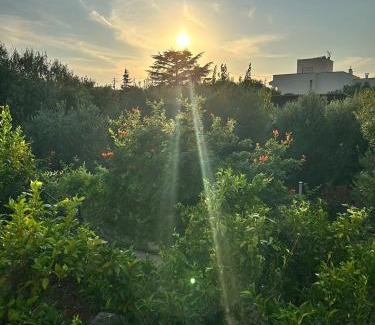 Santa Teresa Bed & Breakfast | B&B Antico Carrubo