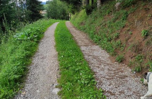 Santo Stefano di Cadore Bed & Breakfast | B&B antico tabià dolomitico