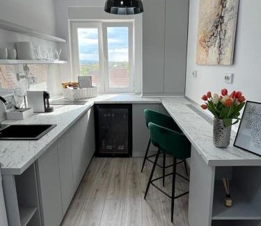 Otelu Rosu Apartment | B&B Apartment
