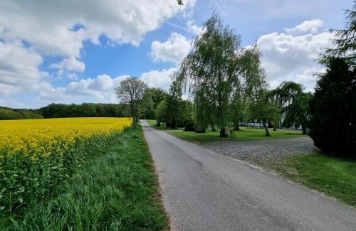 Askeby House | B&B Bauernhofferien auf Møn, Schäferwagen " DARK SKY"