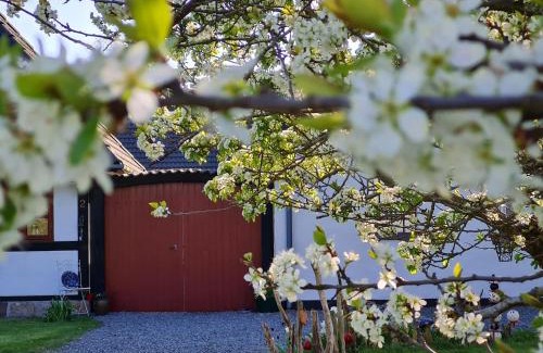 Askeby House | B&B Bauernhofferien auf Møn, Schäferwagen " DARK SKY"