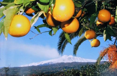 Fornazzo Bed & Breakfast | B&B Bellini