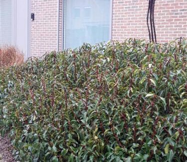 Gits Bed & Breakfast | B&B Bergdal