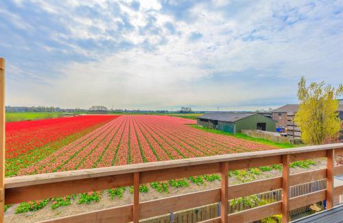 De Engel Bed & Breakfast | B&B Blossom