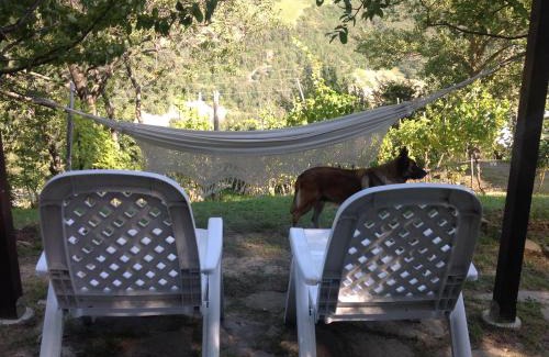 Grizzana Morandi Bed & Breakfast | B&B Bosco Dei Cervi