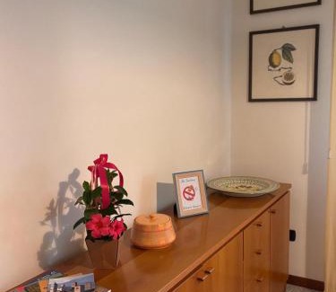 Citta di Castello Bed & Breakfast | B&B Camelia