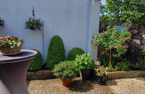 Eijsden Bed & Breakfast | B&B Carpe Diem