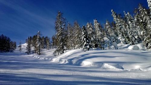 Transacqua Bed & Breakfast | b&b Casa Tavernaro