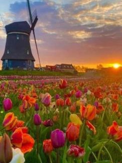 Volendam Bed & Breakfast | B&B CaSandra