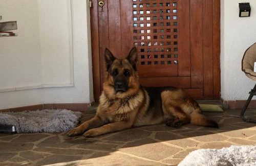 Premariacco Bed & Breakfast | B & B Chic