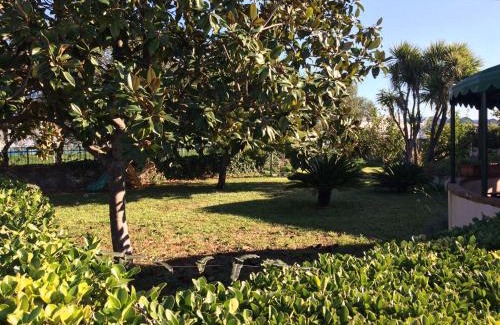 Pontecagnano Faiano Bed & Breakfast | B&B da Cinzia