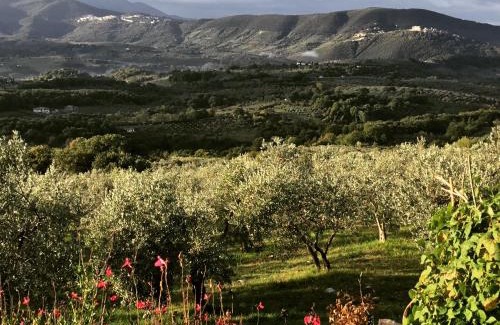 Poggio Nativo Bed & Breakfast | B&B da Odila
