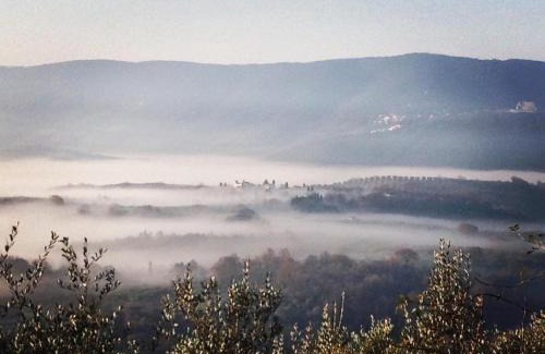 Poggio Nativo Bed & Breakfast | B&B da Odila