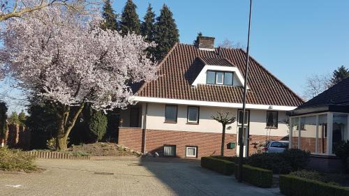 Loenen Bed & Breakfast | B&B De Loenense Bossen