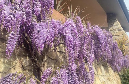 Casalguidi Bed & Breakfast | B&B Fior Di Toscana