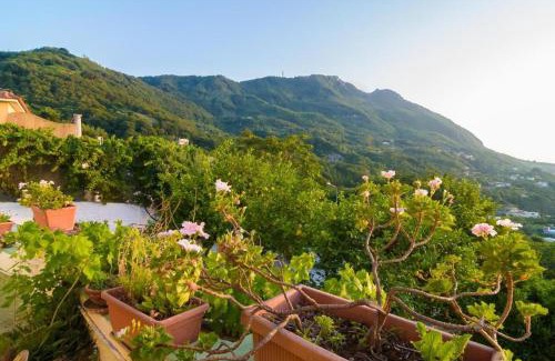 Casamicciola Terme Bed & Breakfast | B&B Giardini di Iside e Osiride