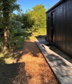 Municipality of Zandvoort Bed & Breakfast | B&B het duinhuisje met jacuzzi, gratis parkeren, 2 fietsen te leen, airco