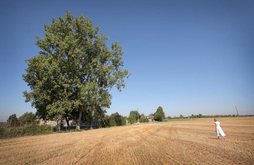 Sint-Pieters-Rode Bed & Breakfast | B&B Het Rooj