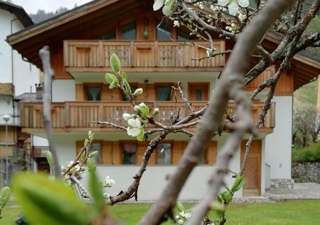 San Pietro di Cadore Bed & Breakfast | B&B Il Tulipano