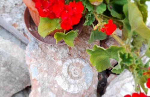 Grezzana Bed & Breakfast | B&B L'Imperfetto