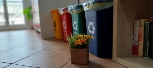 Oliveri Bed & Breakfast | B&B La Gatta Bianca