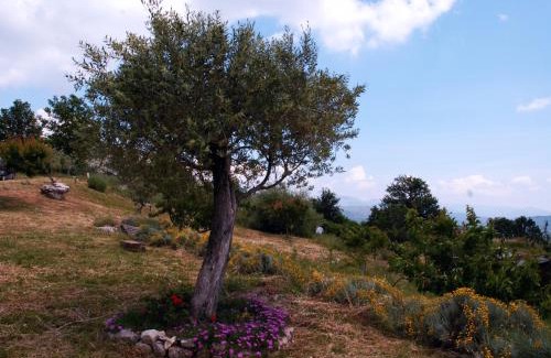 Rocchetta a Volturno Bed & Breakfast | B&B La Montagna Rosa
