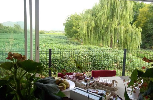 Due Carrare Bed & Breakfast | B&B La Via dell'Ambra