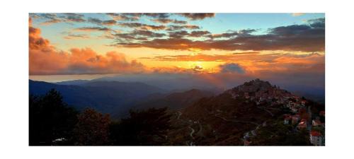Bajardo Bed & Breakfast | B&B Le Camelie del Bosco