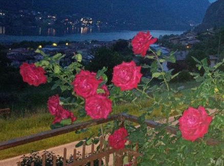 Crone House | B&B le rose