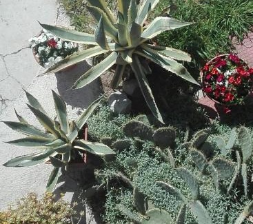 Povegliano Veronese Bed & Breakfast | B&B Le Stanze di Amelie