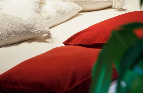Drongen Bed & Breakfast | B&B Maison Blanche