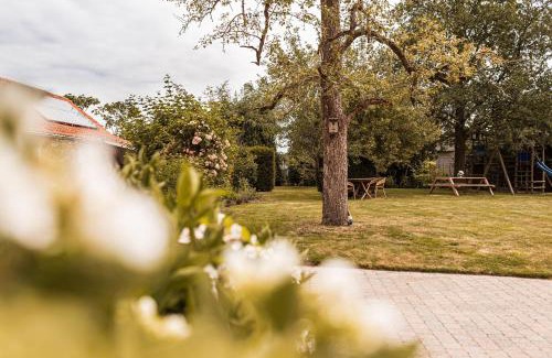 Lovendegem Bed & Breakfast | B&B Maison Lize
