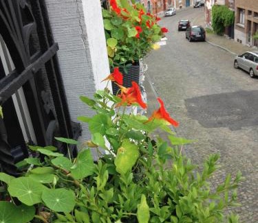 Liege Bed & Breakfast | B&B Matin Tranquille