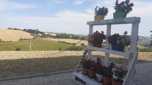 Bettolelle Bed & Breakfast | b&b Onda Verde