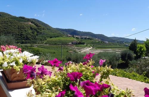 Negrar Bed & Breakfast | B&B Paradiso