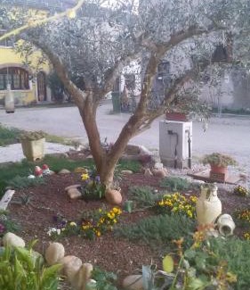 Valeggio sul Mincio Bed & Breakfast | B&B Peschi in Fiore