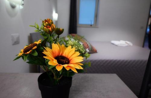 Caserta Bed & Breakfast | B&B REVOLUTION BED e BREAKFAST