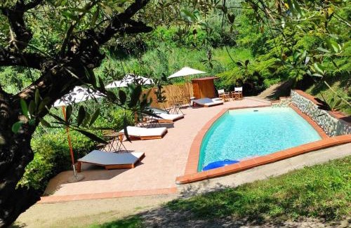 Monsummano Terme Bed & Breakfast | B&B Rosso Baccara