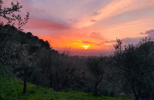 Monsummano Terme Bed & Breakfast | B&B Rosso Baccara