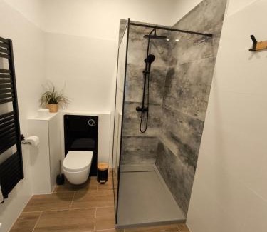 Usti nad Labem Bed & Breakfast | B&B Royal Liberty