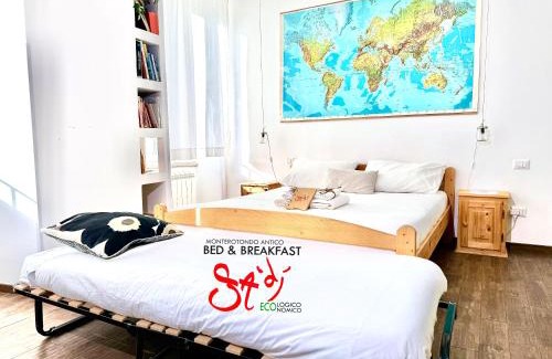 Monterotondo Bed & Breakfast | B&b Sà Di.