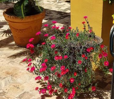 Sant'Eufemia Lamezia Bed & Breakfast | B&B Sant'Eufemia